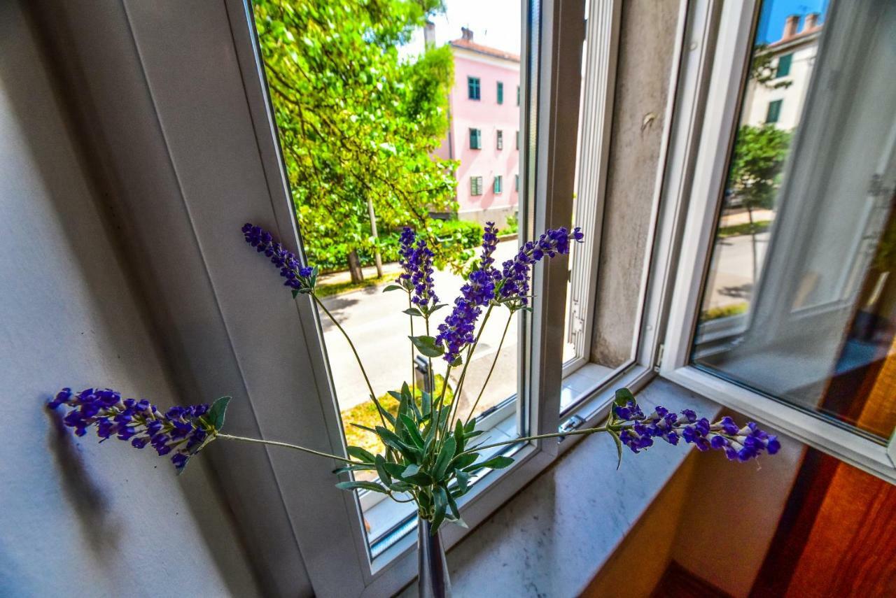 Apartment Viola Zadar Exterior photo